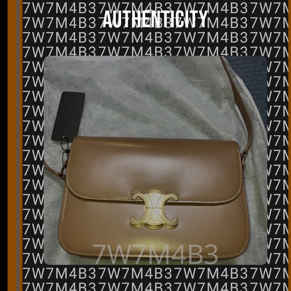 Celine Brown Crossbody Bag with Gold Hardware - Picture 8 of 10